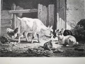 1873年石版画《养兔子和鸡的马厩een stal met konijnen en kippen》尺寸33.5*26厘米--出自荷兰画家、绘图员、蚀刻师和平版画家杰拉杜斯·约翰内斯·博斯Gerardus Johannes Bos,1825-1898油画作品，雕刻师G. J. Bos，荷兰出版，稀少