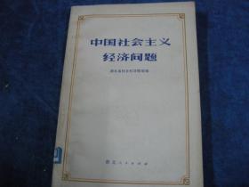 中国社会主义经济问题