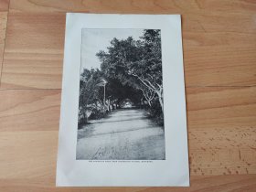 【G2184】1907年书页彩色图版《中国香港，香港香港筲箕湾大道》（the sowkewan road near whitefield station，hong-kong）---筲箕湾道是香港东区的一条主要道路，位于香港岛西湾河及筲箕湾，筲箕湾道从前亦被称为筲箕湾西大街，以对应位于筲箕湾东面的东大街---图版尺寸26.5*18.5厘米