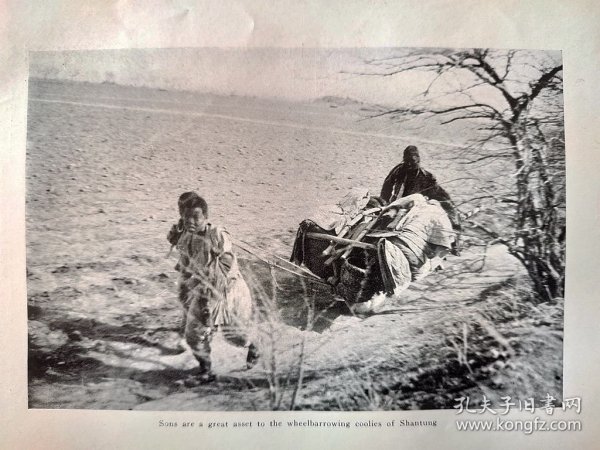 【G82】1923年书页图版（照片）《山东的独轮车苦力，他的两个儿子帮忙拉车》（sons are a great asset to the wheelbarrowing coolies of shantung）--书页纸张22*14.5厘米