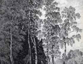 19世纪铜版蚀刻版画《池塘边的白桦林》（Birkenhain Zwischen Dem Grossen Teiche und dem Turnierplatze）-- 出自19世纪匈牙利画家，Adalbert Schäffer（1815–1871）的原创蚀刻作品 -- 版画露出部分32*23.5厘米，老的简约玻璃画框50*40厘米