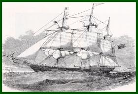 老的书页插图（照片反正三张）《中国茶船：“大英帝国”亚历山大·霍尔号，从苏格兰的凯恩戈姆启航》（Alexander Hall's Cairngorm set a large spread of sail）-- 中国茶叶贸易的历史 -- 照片尺寸21.5*14厘米