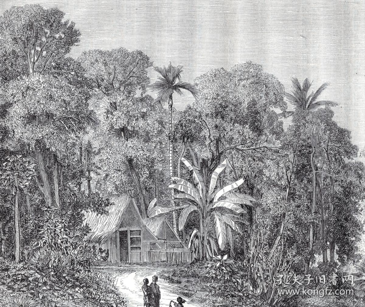 1864年木刻版画《风景画:婆罗洲密林深处的田园村落,印度尼西亚茂物