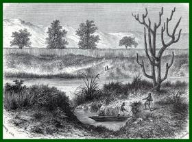 19世纪木刻版画《风景画：尼罗河源头（维多利亚湖）风光》（Rives de la Kitangule）-- 后附卡纸30*21厘米，版画纸张17*13厘米