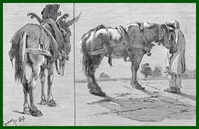 19世纪木刻版画《兰德希尔素描作品：日内瓦邮差与他的马匹》（STUDIES AT GENEVA）-- 出自英国维多利亚时期著名画家，埃德温·兰德希尔爵士（Edwin Landseer，1802-1873）的绘画作品 -- 后附卡纸30*21厘米， 版画纸张19.5*13.5厘米