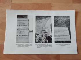 【G1509】1926年书页图版《全国各地的海报，声援五卅惨案》（specimen of posters in english ）--图版纸张21.5*13.3厘米