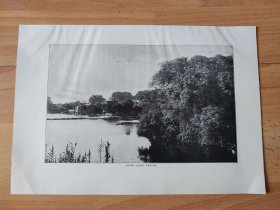 【G2263】1907年书页彩色图版《中国广州，广州河流风景》（river scene ，canton）----- 图版尺寸26.5*18.5厘米