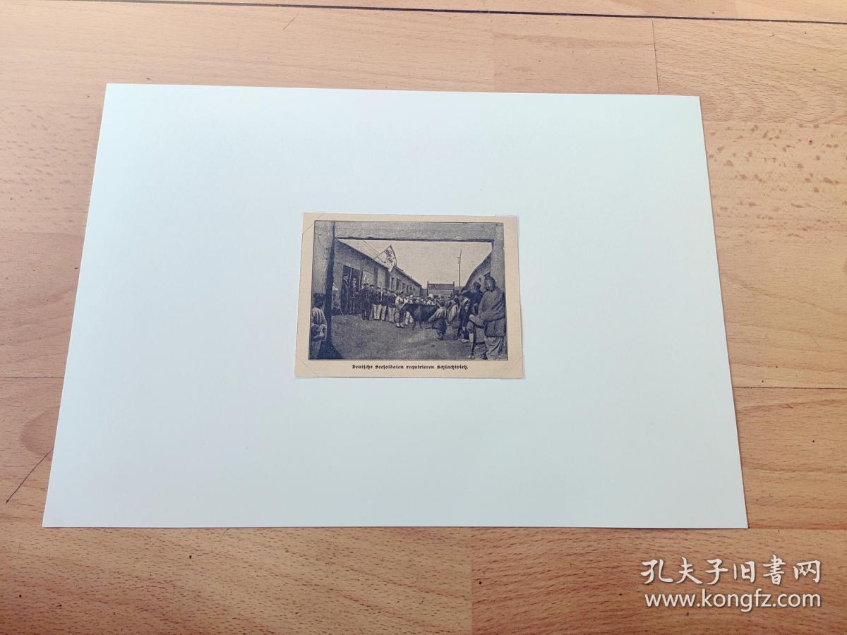 【清末中国】1903年书页照片《1900年庚子事变影像：德国海军陆战队抢夺中国百姓的牲畜》（Deutsche Seesoldaten requirieren Schlachtvieh）-- 后附卡纸30*21厘米，照片尺寸10*8厘米