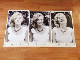 20世纪胶版印刷--艺术摄影、老照片三幅合拍《被誉为“世界上最性感的女人”、大美人：玛丽莲·梦露艺术照》（Marilyn Monroe Portrait Glasstein）-- 该组照片是1957年由好莱坞最伟大的摄影师之一，山姆·肖（Sam Shaw，1912-1999）在海滩为时年29岁的梦露拍摄的一组照片，当时她怀孕两个月，不幸的是一个月后她流产了 -- 每幅照片尺寸约为60*37厘米