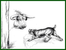 19世纪木刻版画《兰德希尔作品：引诱公牛》（BAITING THE BULL）-- 出自英国维多利亚时期著名画家，埃德温·兰德希尔爵士（Edwin Landseer，1802-1873）的绘画作品 -- 后附卡纸30*21厘米，版画纸张16.5*14厘米