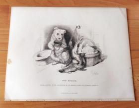1876年大幅钢版画《萌宠日记：乞怜》（THE BEGGAR）-- 出自英国维多利亚时期著名画家，埃德温·兰德希尔爵士（Edwin Landseer，1802-1873）的油画作品，他以动物作品著称并得到维多利亚女王青睐 -- 选自当年艺术日志 -- 版画纸张32*24厘米