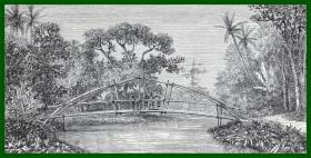 19世纪木刻版画《风景画：爪哇岛原始密林中的竹桥，印度尼西亚》（Pont de bambous）-- 爪哇岛（印尼语：Jawa、英语：Java），印度尼西亚的第五大岛，南临印度洋，北面爪哇海 -- 后附卡纸30*21厘米，版画纸张17*9、17*9厘米