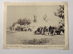 【G71】1923年书页插画（照片）《天津拉车的苦力，他们每天工作十个小时或更长，挣20个铜版，合六美分》（the human freight horses of tientsin）--图片尺寸11*8.2厘米，后附卡纸30*21厘米