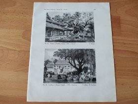 【G2450】1924年书页图版反正面4幅P266《中国广州：广州河南海幢寺内部，岸边的海幢寺，十三行大商人的豪宅，广州的帽子商铺》（temple of buddha，honam，1838）--早期西方铜版画中的中国----摘自1924年《中国通商图》一书-- 图版纸张30*24厘米