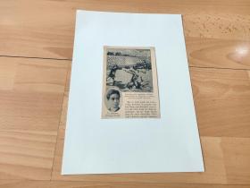 【中国内容】1901年书页插图（照片） 《日本漫画：清末北京发生的“日本特使谋杀案”》（Ermordung des japanischen Gesandtsches）-- 画家：A.Sugiyama -- 选自《清末的中国》-- 后附卡纸30*21厘米，照片尺寸14*11厘米