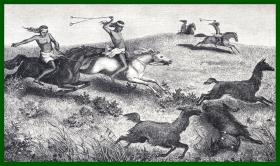 19世纪木刻版画《阿根廷巴塔哥尼亚高原的传统狩猎方式：投石索狩猎》（Patagonier，mit Wurfkugeln（Bolas）Guanacos jagend）-- 后附卡纸30*21厘米，版画纸张18*11.5厘米