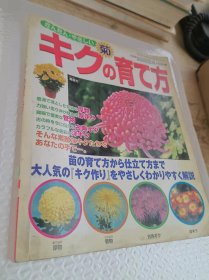 日文书  菊花 花卉培育  等