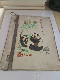 文件夹 10 封面 大熊猫
