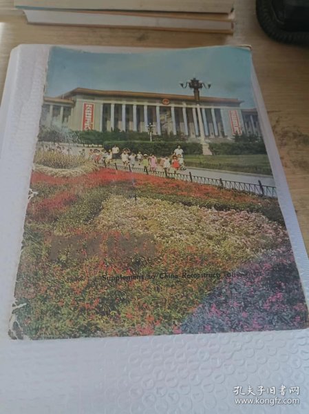 外文书    9