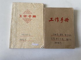 顾智界（考古学家、编辑）考古研究笔记、日记 2本