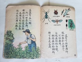 赵白山等绘《益虫》，（上海）儿童读物出版社1955年新一版一印，骑马订32开，18图