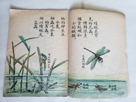 赵白山等绘《益虫》，（上海）儿童读物出版社1955年新一版一印，骑马订32开，18图