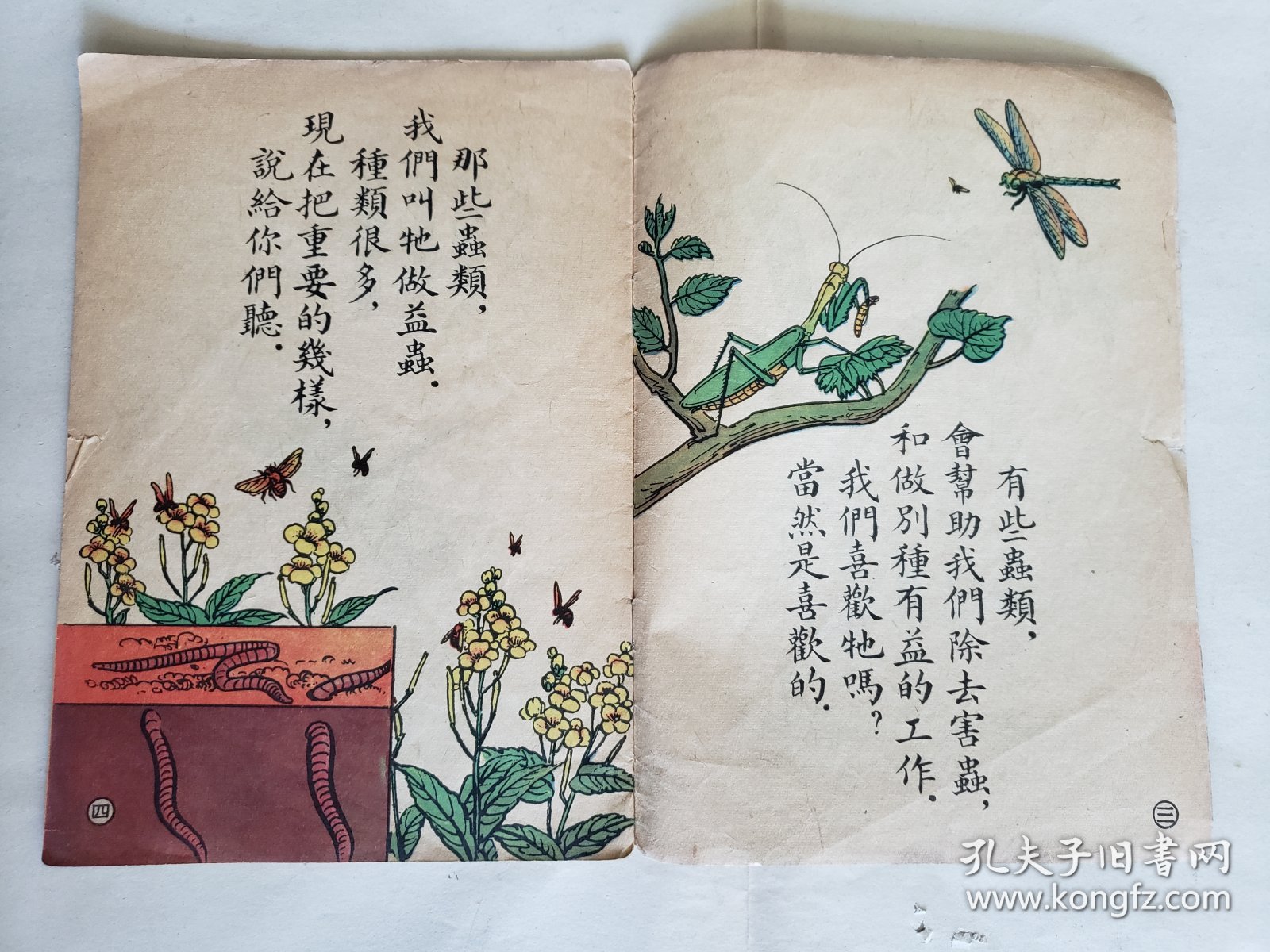 赵白山等绘《益虫》，（上海）儿童读物出版社1955年新一版一印，骑马订32开，18图