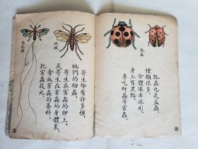 赵白山等绘《益虫》，（上海）儿童读物出版社1955年新一版一印，骑马订32开，18图