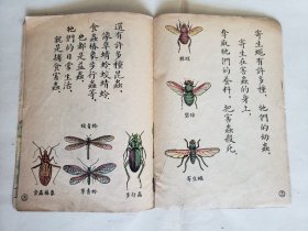 赵白山等绘《益虫》，（上海）儿童读物出版社1955年新一版一印，骑马订32开，18图