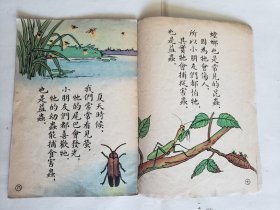 赵白山等绘《益虫》，（上海）儿童读物出版社1955年新一版一印，骑马订32开，18图