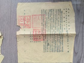 53年太平县政府文件