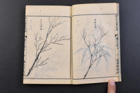 （戊4714）《汉画指南》和刻本 线装坤1册 二集 兰竹之部 竹谱 版画 套色印刷 钟香园藏梓 竹，虽细而有节不屈，代表坚持气节的操守；是古代儒家思想的根本和为文人墨客、士大夫们所推崇的崇高人格，气节就是正气，气节也是人生命中与生俱来的品质