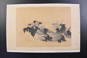 （戊2221）《福瓜螳螂》套印版画1幅 设色 画心尺寸29.1*21CM 福气绵延，多子多福，福挂，吉祥如意；
螳螂寓意活力四射，兴旺发达，有“家和万事兴”之意。