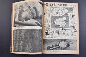 （己0174）周刊朝日 紧急增刊 《田中访中特集 中国的一切》1册全 1972年10月 田中角荣访问中国 日本内阁总理大臣田中角荣访问中国，双方发表《中日联合声明》，标志着中日邦交正常化。朝日新闻社 尺寸 25.7*18CM