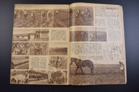 （己3132）史料《开拓画报》康德八年 1941年12月号 寒地生活的解剖 特辑 五河林开拓团 义勇队训练所 榆林开拓团 青年义勇队宁安训练所 东亚圈素描 伪满洲国的全联 大陆的宗教挺身队 满铁开拓科学研究所的成果等内容 多插图 新京特别市丰乐路 大陆建设社 尺寸 29*20CM