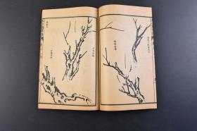 （特6879）上海千顷堂原稿《芥子园画传二集》 原函线装4册 民国石印 梅兰竹菊四君子 模仿名家 从用笔方法到具体景物技法，从创作示范到章法布局深入浅出，循循善诱 造就无以数计国画名家 发文新书局石印  尺寸20*13cm