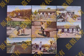 （己9742）史料《满洲风俗》明信片8张 彩色老照片 高粱与百姓 卖拂尘 农家野菜 大工家屋修缮中的实况 卖併商人与独轮车 田舍的织物所 水井打水 旅顺 东京堂印行 尺寸 14*8.8CM