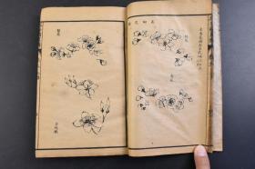 （丁5240）宇内诸名家合订《芥子园画传》3册 上海千顷堂原稿 发文新书局石印  原稿复印  青在堂兰谱、兰谱 花卉草虫谱 花卉翎毛谱 模仿名家为主 深入浅出循循善诱 令人读之如醍醐灌顶顿开茅塞 在中国的画坛上流传广泛影响深远孕育名家施惠无涯者 芥子园画谱 当之无愧也