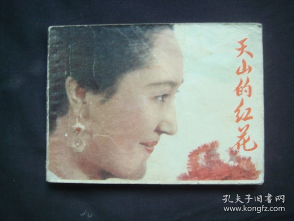 天山的红花
