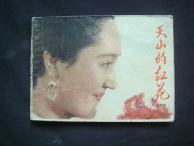 天山的红花