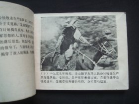 天山的红花