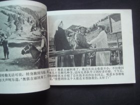 天山的红花