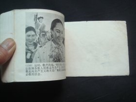 天山的红花