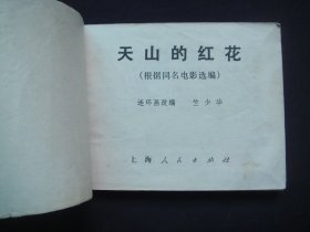 天山的红花