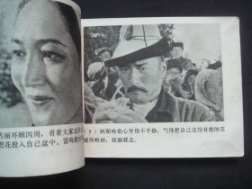 天山的红花