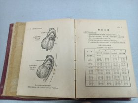 W  1952年  上海中外书局出版   诸榮恩译、陈王善继  《精简医师典》 一厚册！！