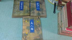 老武侠大人物传奇系列【金甲人  大人物  富贵山庄】三本