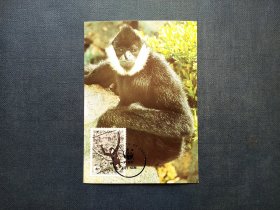 《外国集邮品收藏：越南 1987年动物 长臂猿邮票极限片 商品如图》澜2401-28