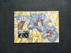 《外国集邮品收藏： 瑞士2001年植物龙胆花卉极限片  商品如图》澜2402-19