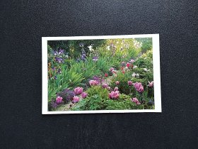 《 欧美亚非洲等国早期 植物 花卉 明信片 商品如图 》四2505-28------满25元包邮挂号信挂号印刷品 可暂存多期合并发货
